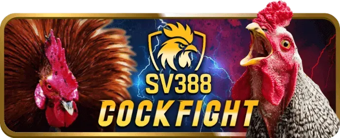 Đổi mới và Sáng tạo
